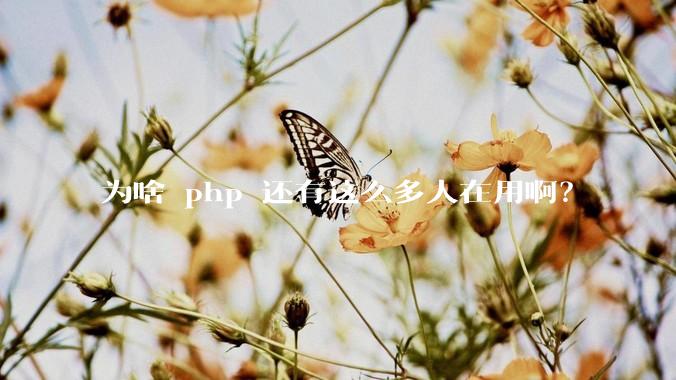 为啥 php 还有这么多人在用啊？